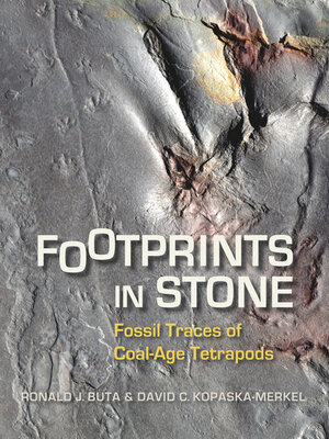 cover image of Footprints in Stone